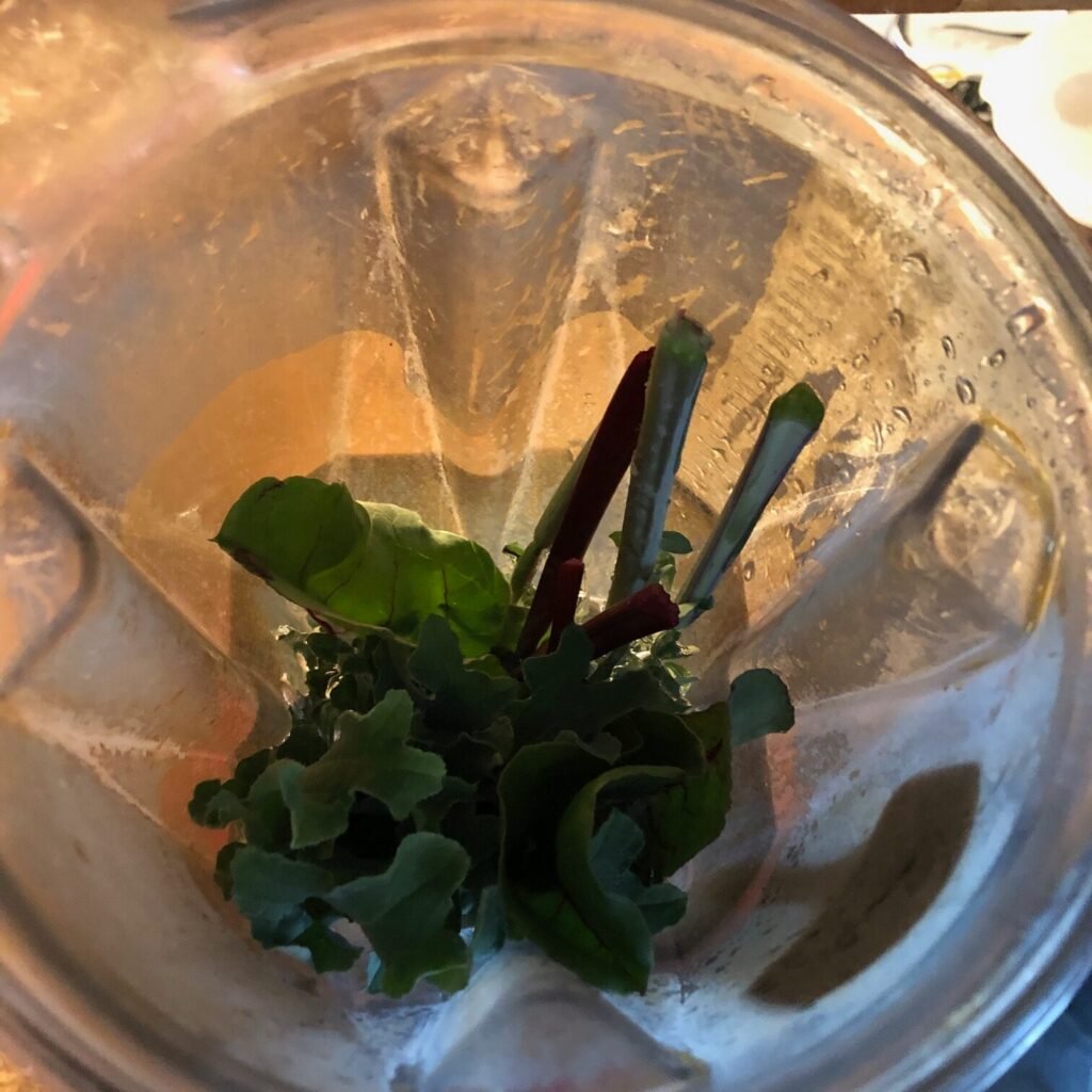 Daily Juicing System for POTS & Health | A Simple Method That Works 8 IMG 5298