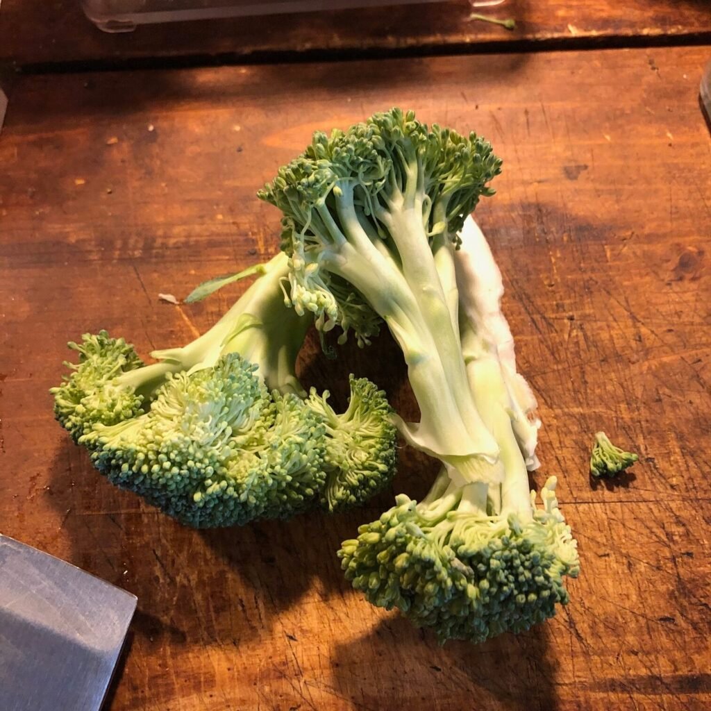 Daily Juicing System for POTS & Health | A Simple Method That Works 23 IMG 5315