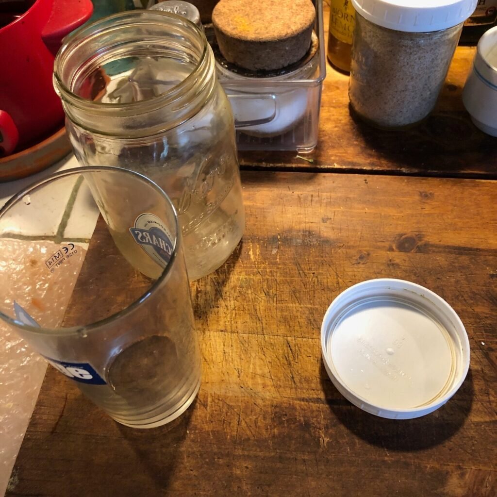 Daily Juicing System for POTS & Health | A Simple Method That Works 24 IMG 5316