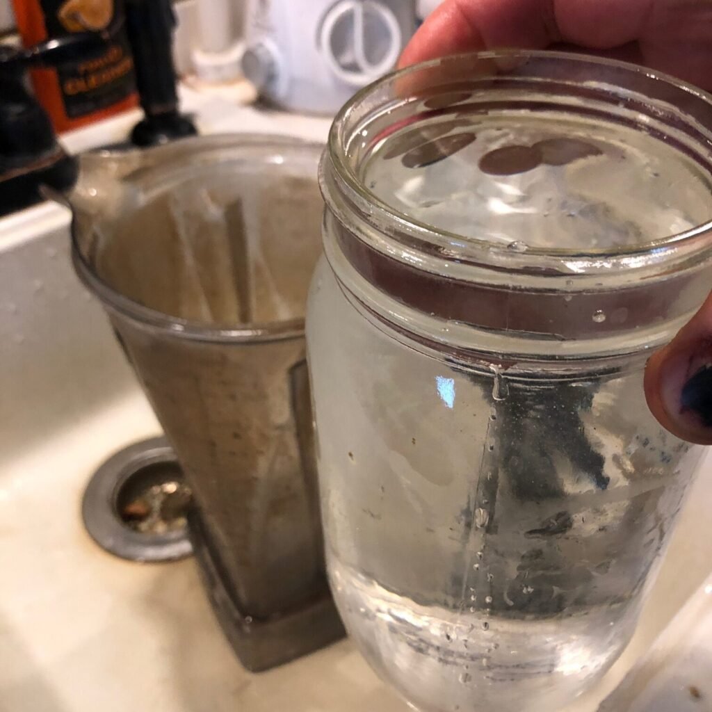 Daily Juicing System for POTS & Health | A Simple Method That Works 3 IMG 5318