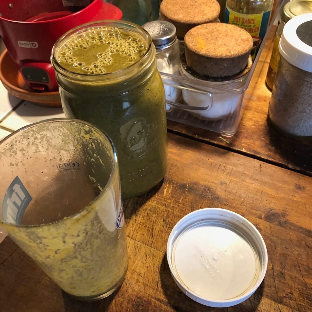 Daily Juicing System for POTS & Health | A Simple Method That Works 27 IMG 5320