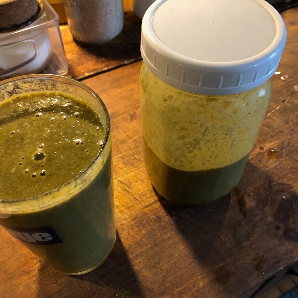 Daily Juicing System for POTS & Health | A Simple Method That Works 28 IMG 5321