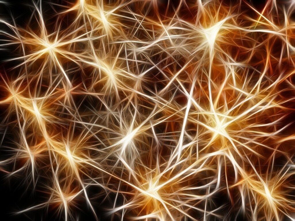 connection