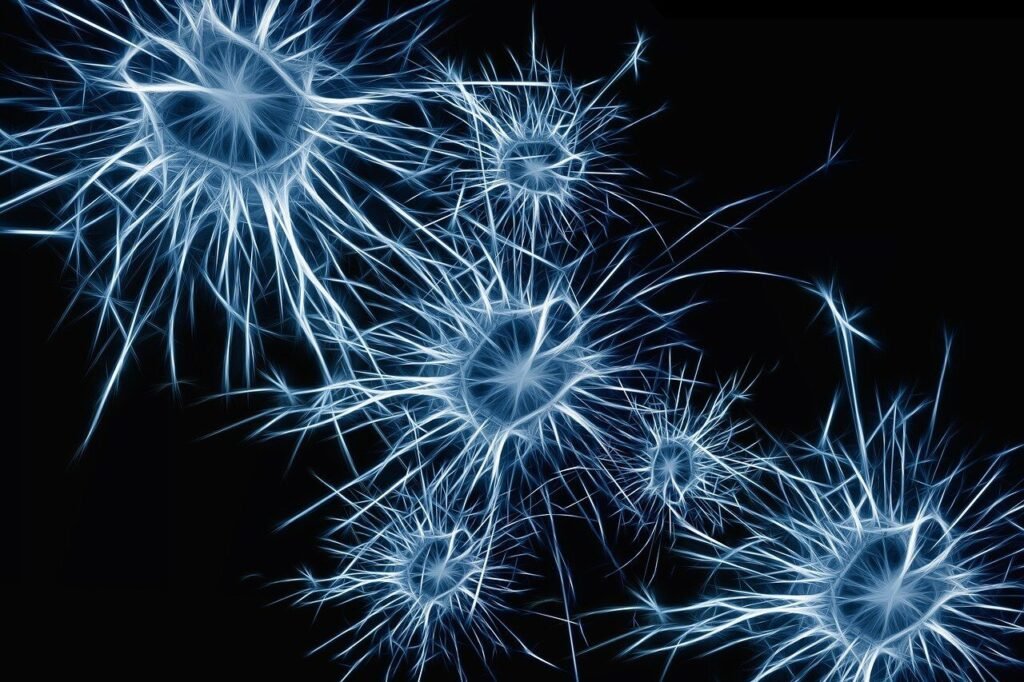 neurons 1773922 1280