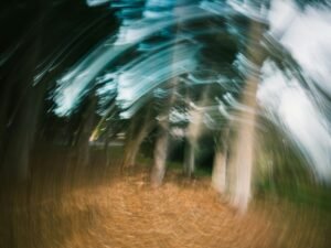 Living Through a Vestibular Migraine Flare-Up | My Story of Spinning, Tinnitus, and Resilience