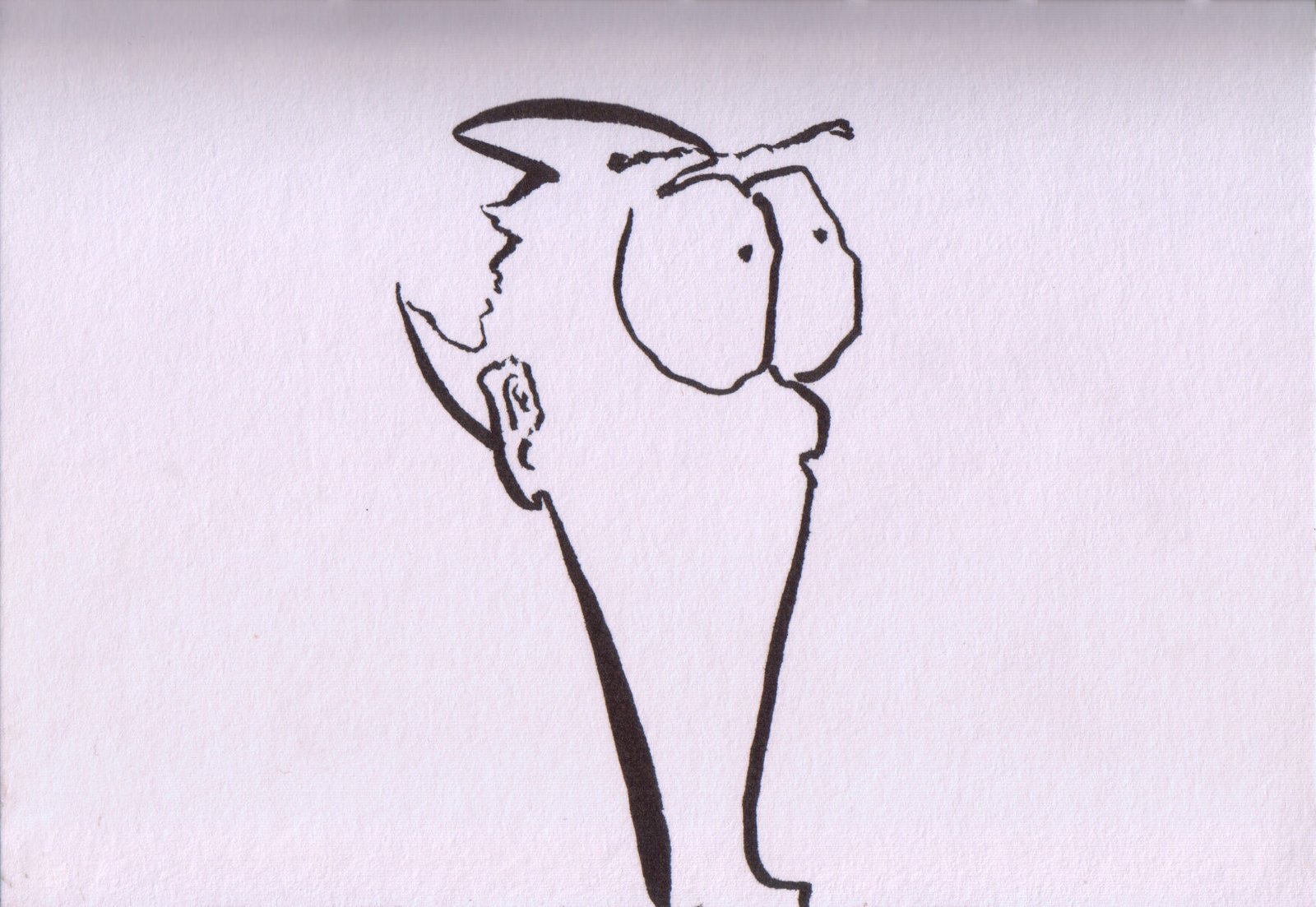 pogohead