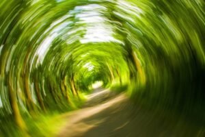 What is a Vestibular Migraine | POTS Connections