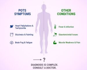 What Is From POTS and What Is From Other Conditions?